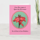 Search for flor cards Rosa