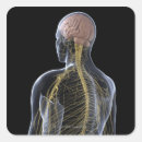 Search for human body parts stickers Illustration