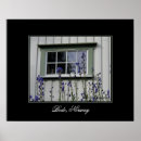 Search for window posters Garden