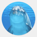 Search for happy dolphin stickers Sea