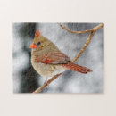 Search for cardinal puzzles Birder