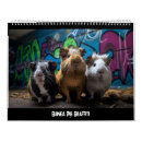 Search for pig calendars Humour