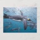 Search for angles postcards Ocean