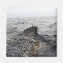 Search for slick magnets Gulf of mexico