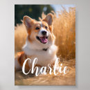 Search for pet portraits In loving memory