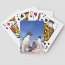 Search for adult playing cards Fauna