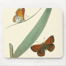Search for colourful leaf mouse mats Butterflies