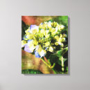 Search for hydrangea canvas prints Nature
