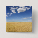 Search for wheat square badges Landscape