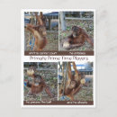 Search for hoops postcards Nba
