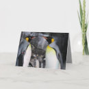 Search for penguin love cards Penguins