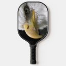 Search for eagle Wildlife