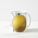 Search for citrus mugs Blossom
