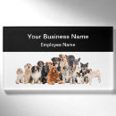 Search for dog grooming office supplies Groomer