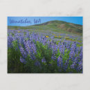 Search for washington spring postcards Flowers