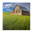 Search for cropped tiles Barn