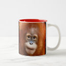 Search for primate pics mugs Orangutans