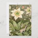 Search for whisker cards White