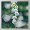 Search for wildflower abstract posters Photography