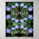 Search for calming and soothing posters Nature