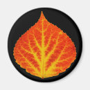 Search for fall tree magnets Red