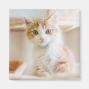 Search for 2015 magnets Cute