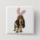 Search for basset square badges Animal
