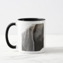 Search for animal head mugs Domestic animals