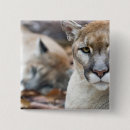 Search for cougar badges Predator
