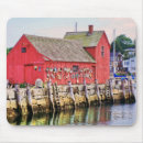 Search for mass mouse mats England