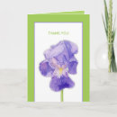 Search for iris flower cards Illustration