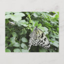 Search for paper horizontal postcards Outdoors