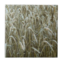 Search for cropped tiles Grain