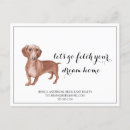 Search for wiener postcards Dog