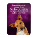Search for funny mother rectangular magnets Humour