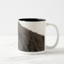 Search for newfoundland dog mugs Cute