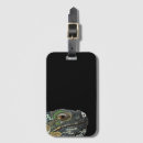Search for tropical lizard Cute
