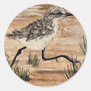 Search for shoreline stickers Sand