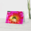 Search for macro flower cards Plant
