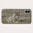 Search for coyote cases Canis latrans
