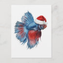 Search for siamese christmas cards Watercolor