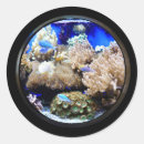 Search for fish aquarium stickers Tropical