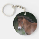 Search for foal key rings Standing
