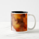 Search for selective focus mugs Outdoors