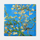 Search for blossoms on tree magnets Nature