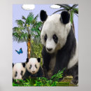 Search for panda bears posters Pandas
