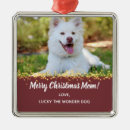 Search for best dog dad christmas tree decorations Pet