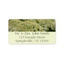 Search for flowers and birds return address labels Wildflower