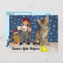 Search for little cats postcards Kitten