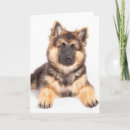 Search for mutt cards Animal